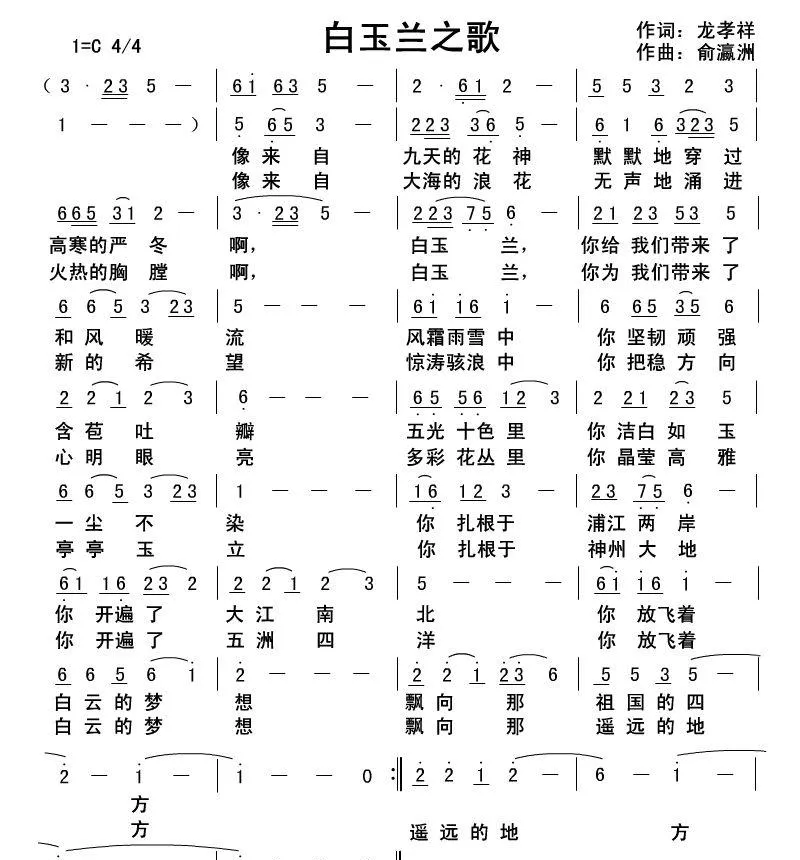 白玉兰之歌
