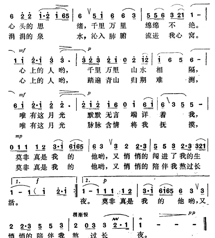 今夜的月色多皎洁