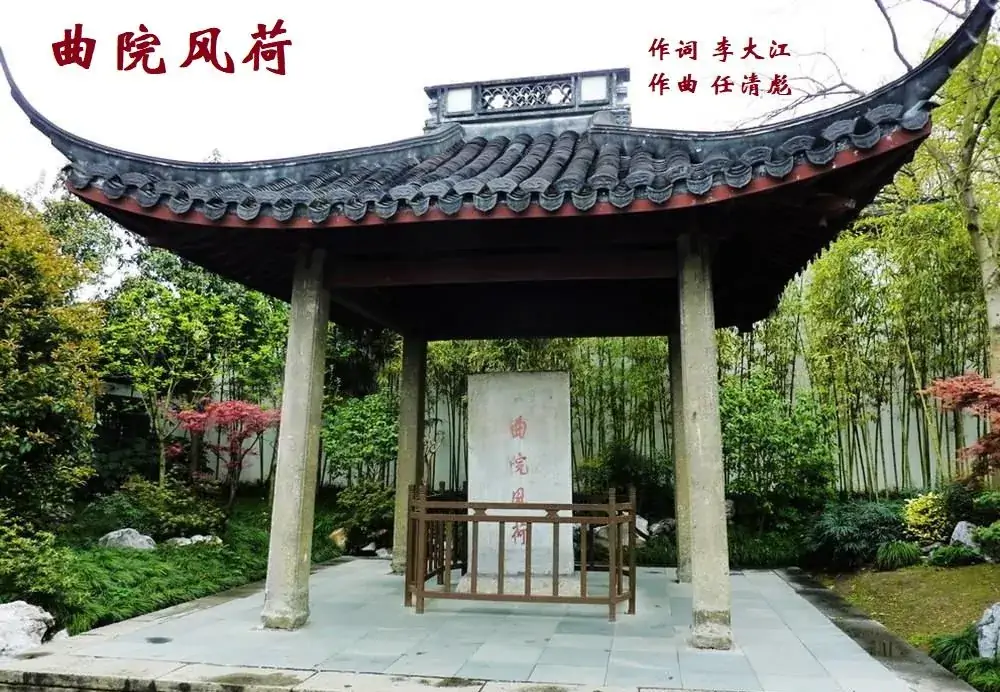 曲院风荷