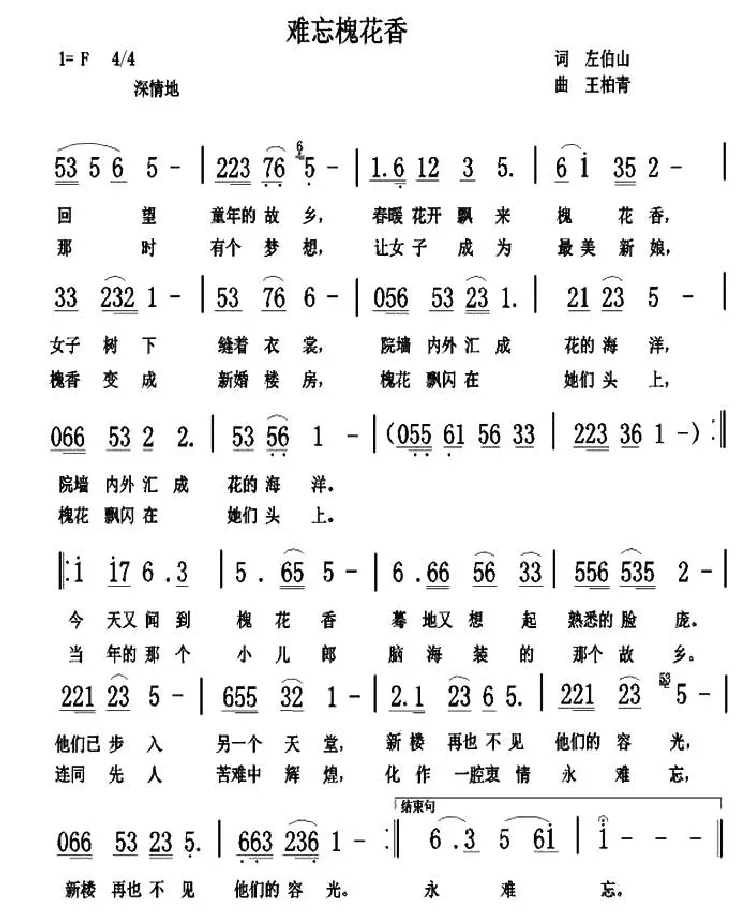 难忘槐花香