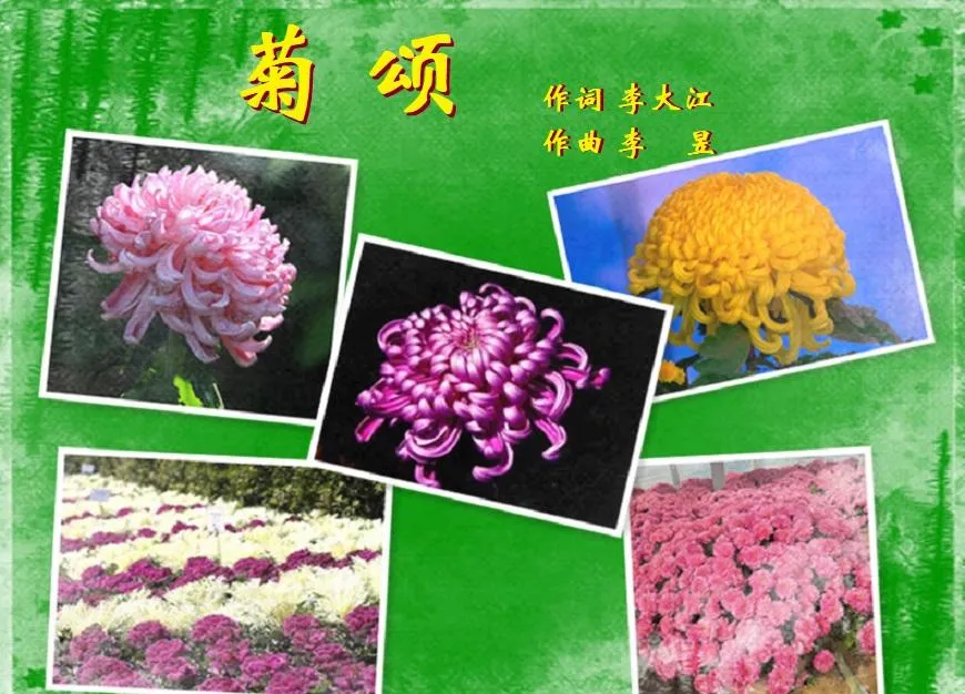 菊颂