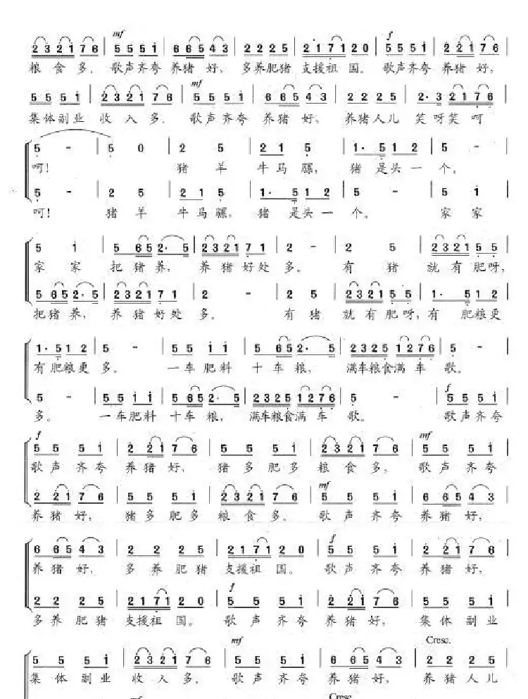 养猪人儿笑呵呵