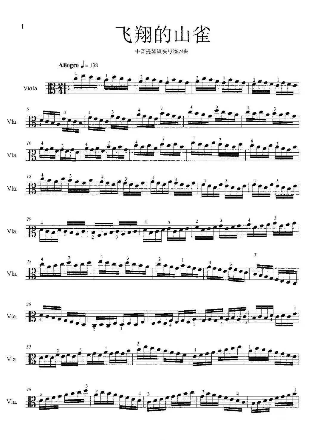 飞翔的山雀（中音提琴短快弓练习曲）