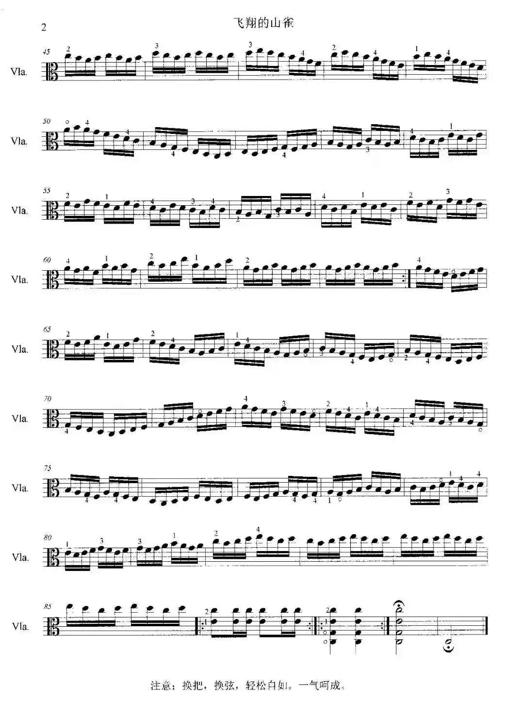 飞翔的山雀（中音提琴短快弓练习曲）