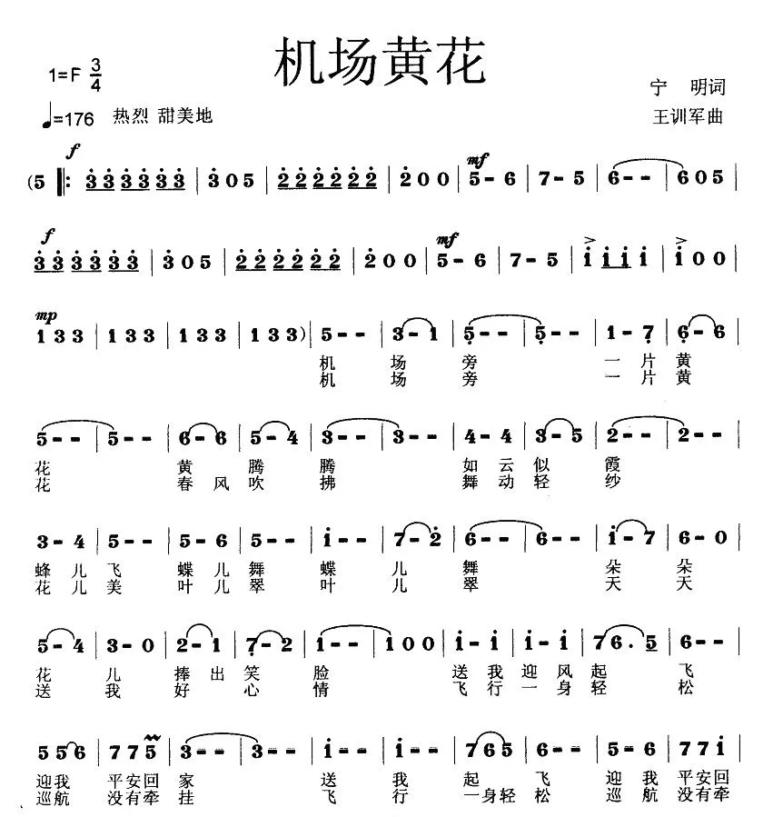 机场黄花