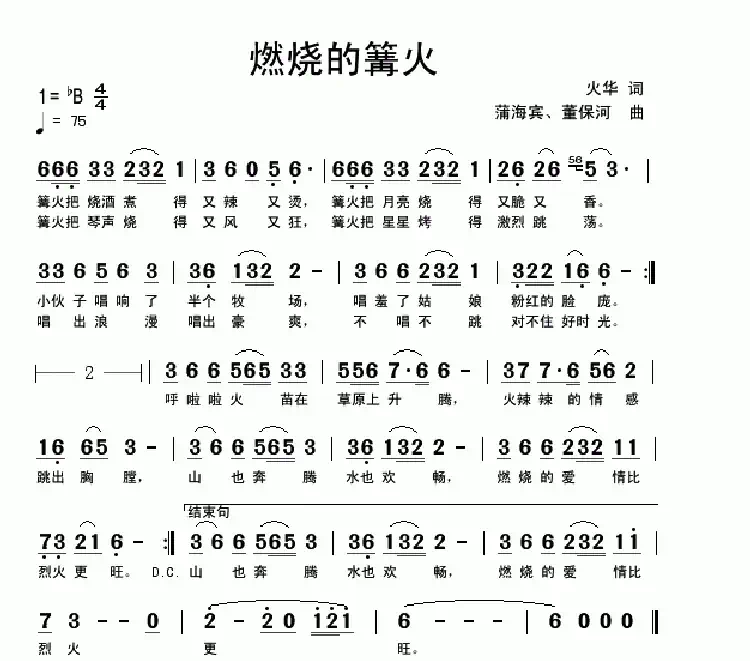 燃烧的篝火