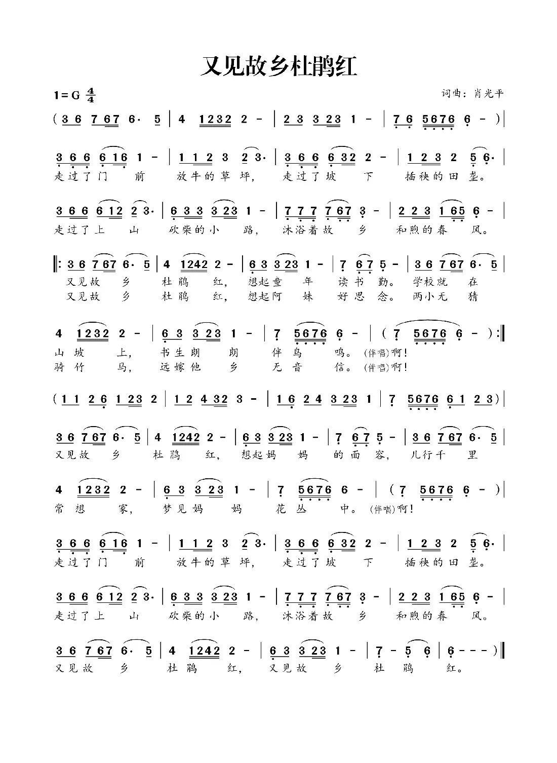 又见故乡杜鹃红