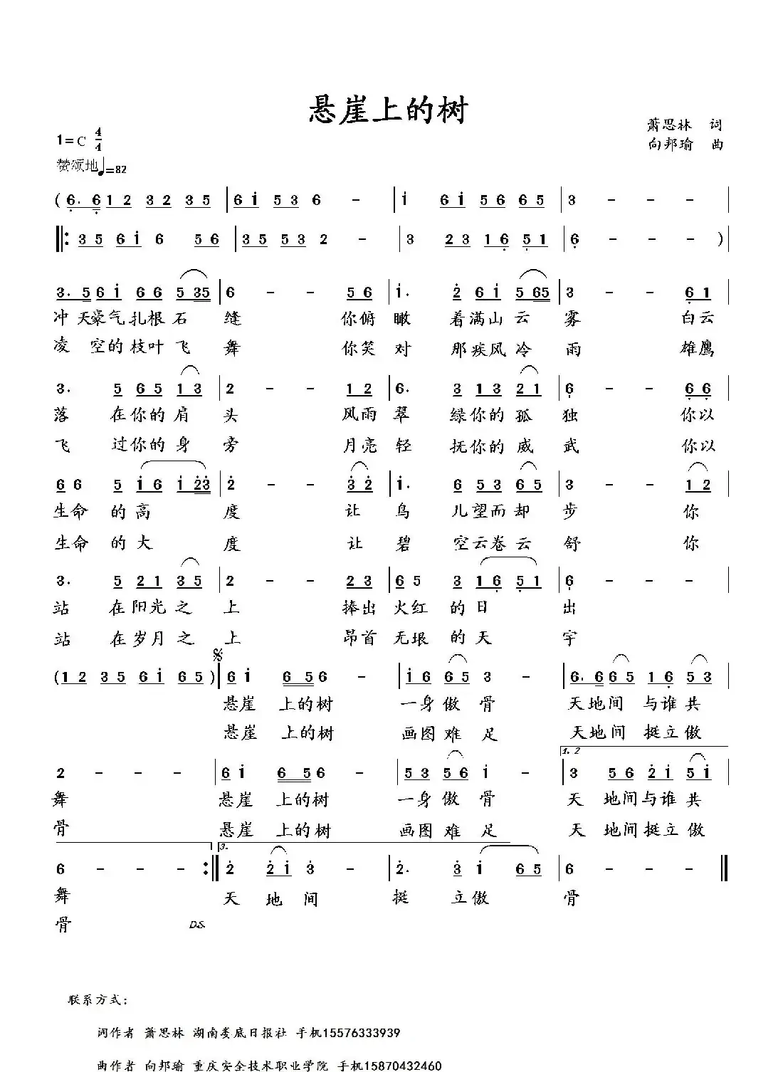 悬崖上的树（萧思林词 向邦瑜曲）