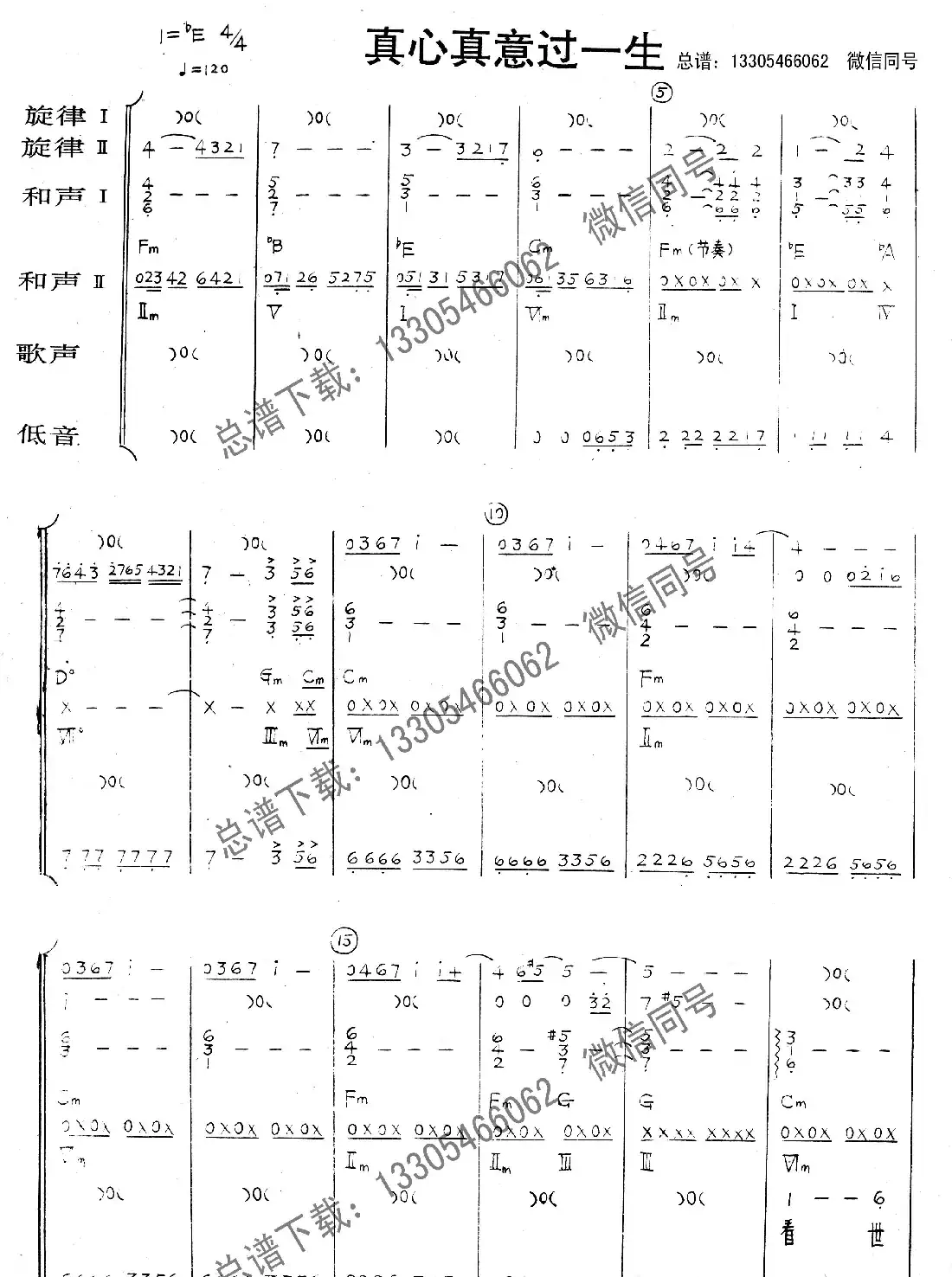 真心真意过一生(乐队总谱)