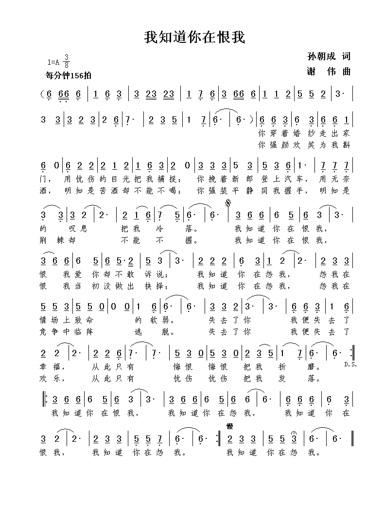 我知道你在恨我（孙朝成词  谢伟曲）