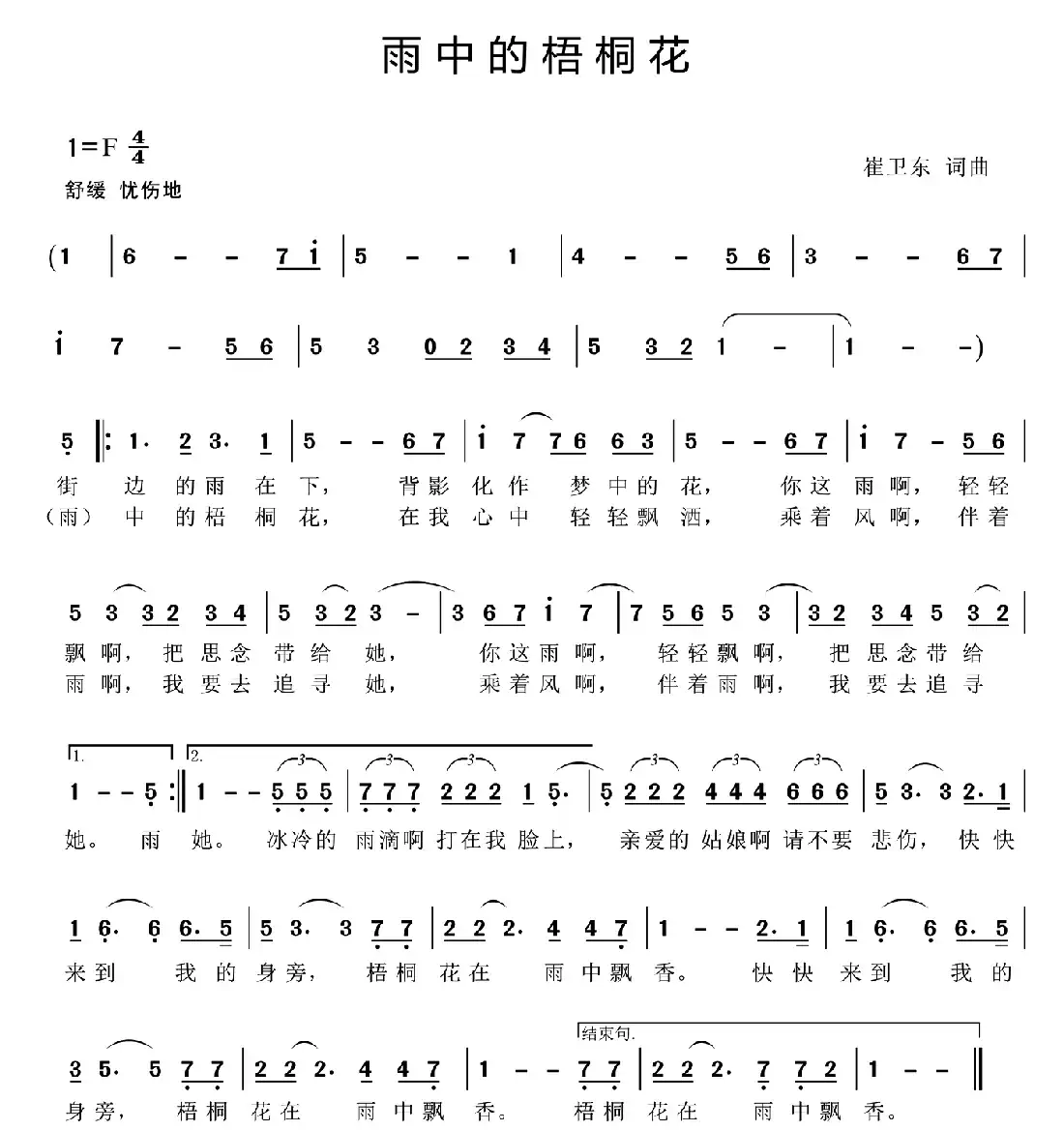 雨中的梧桐花