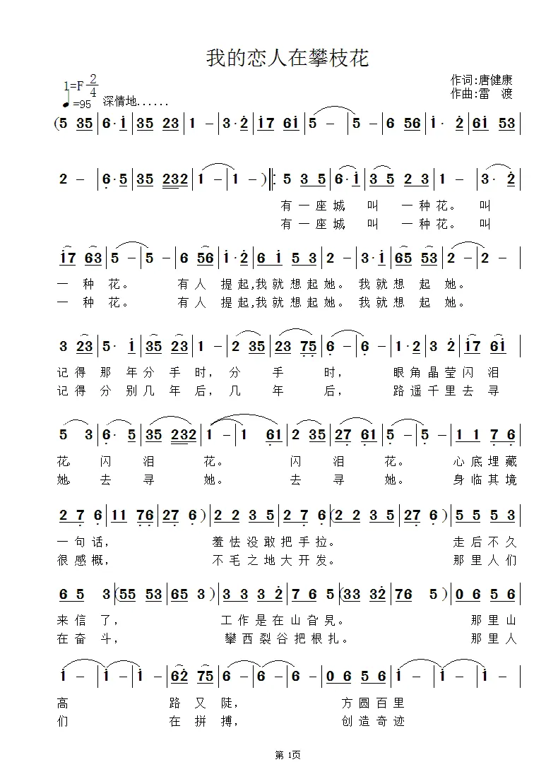 我的恋人在攀枝花