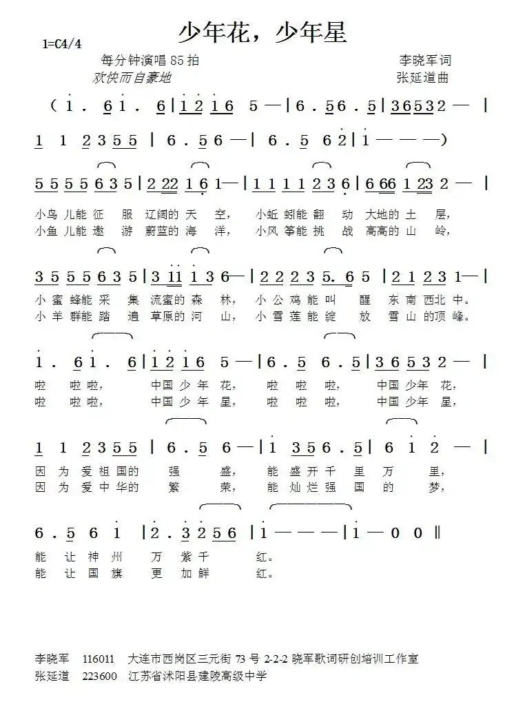 少年花，少年星（李晓军词张延道曲）