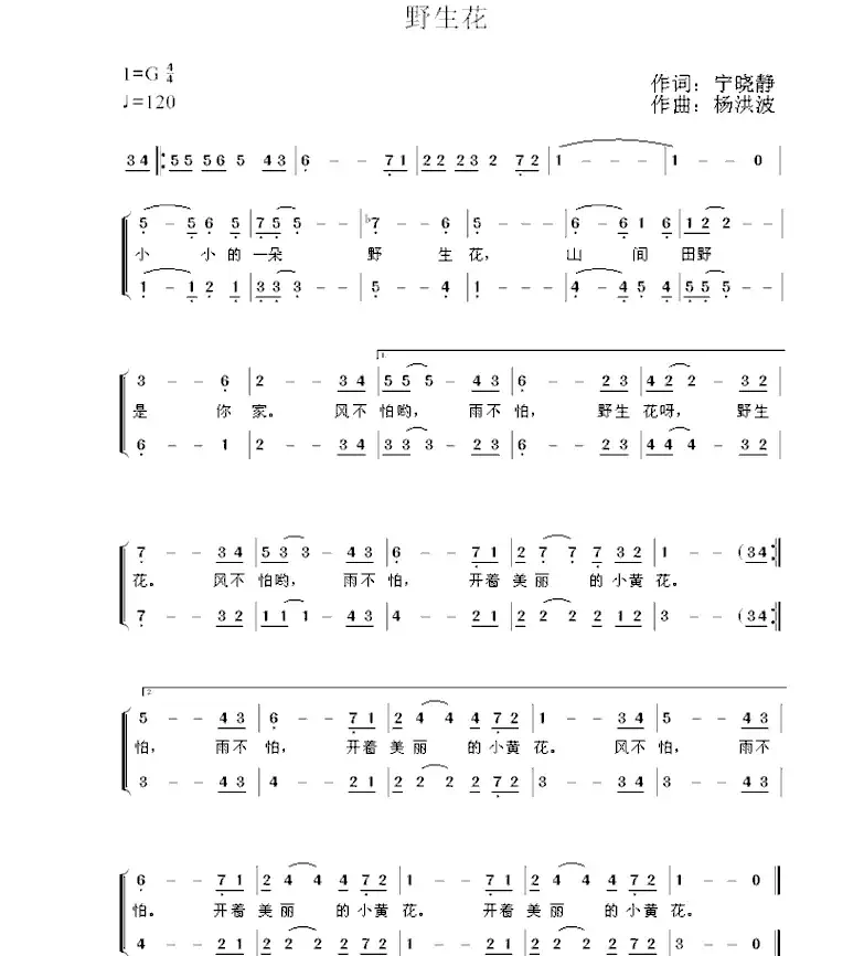 野生花(宁晓静词 杨洪波曲)