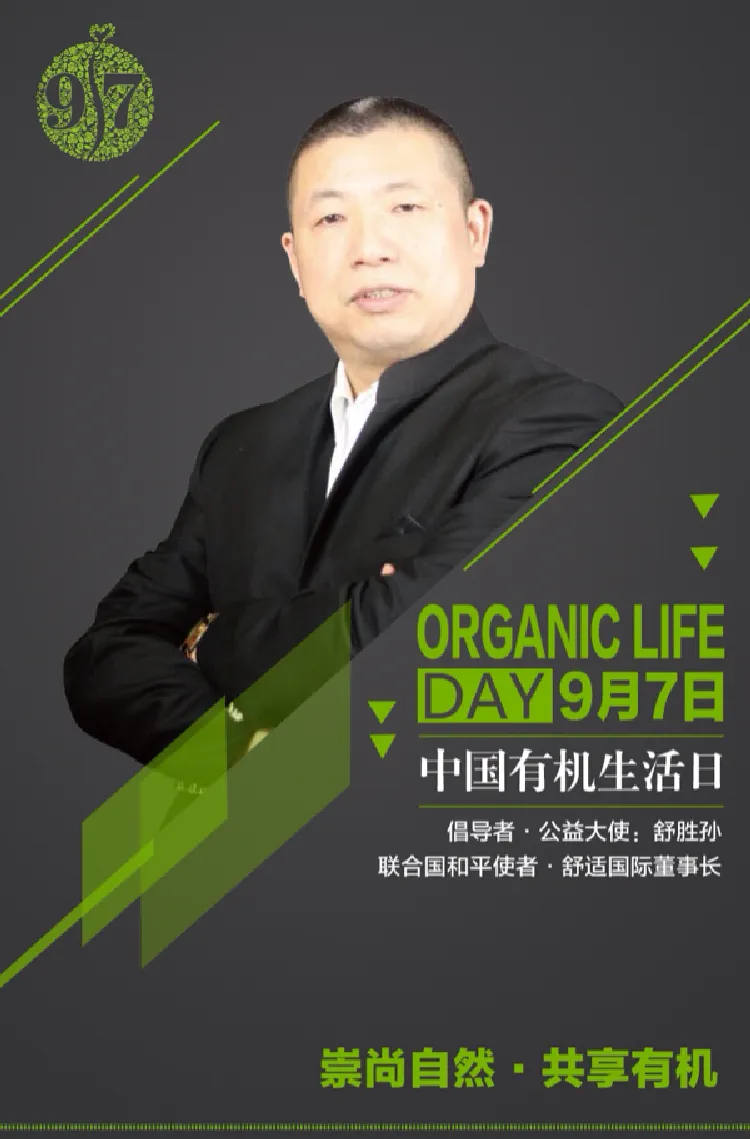 舒适集团之歌