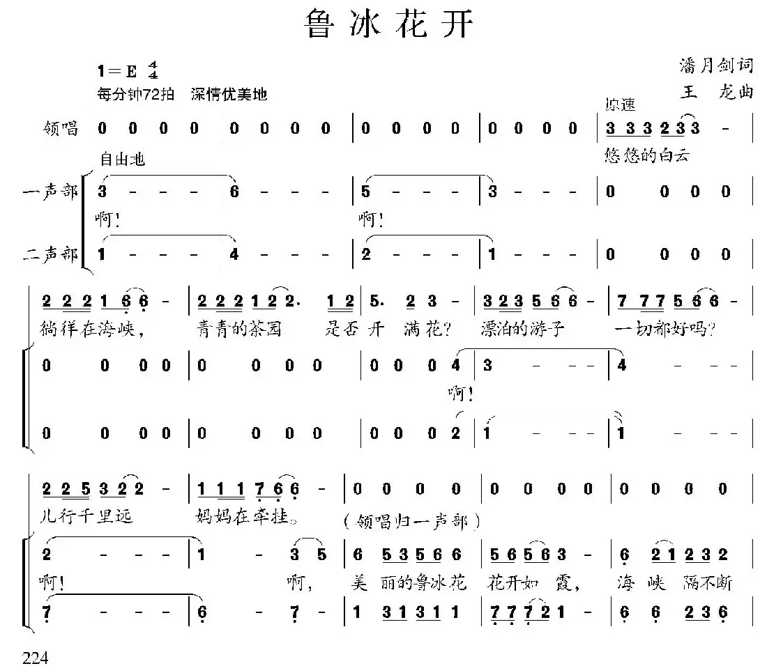 鲁冰花开(合唱)