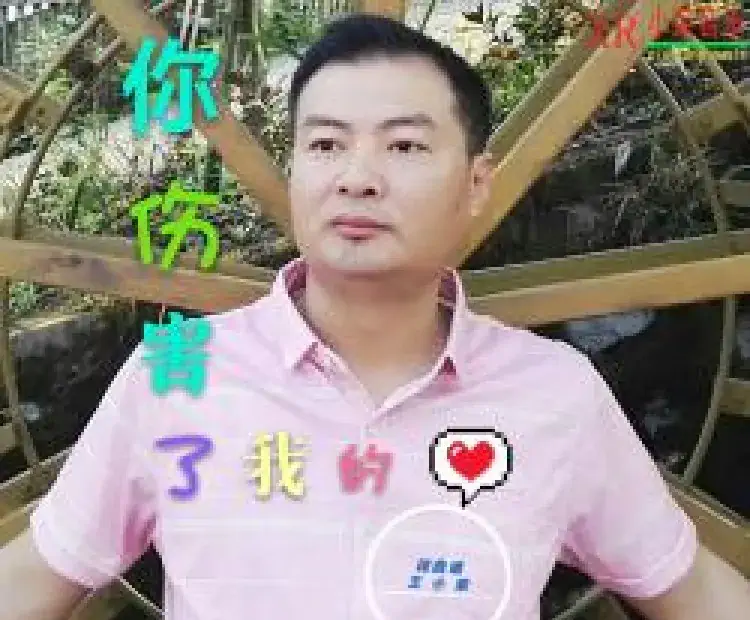 你伤害了我的心