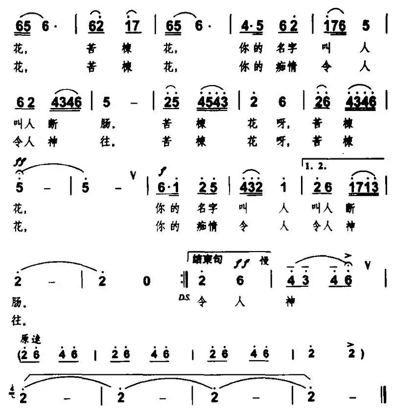 苦楝花（张新用曲）