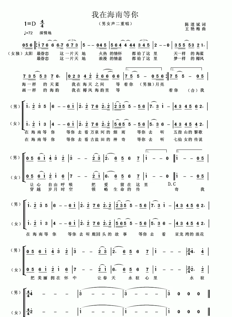 我在海南等你（陈道斌词 王艳梅曲）