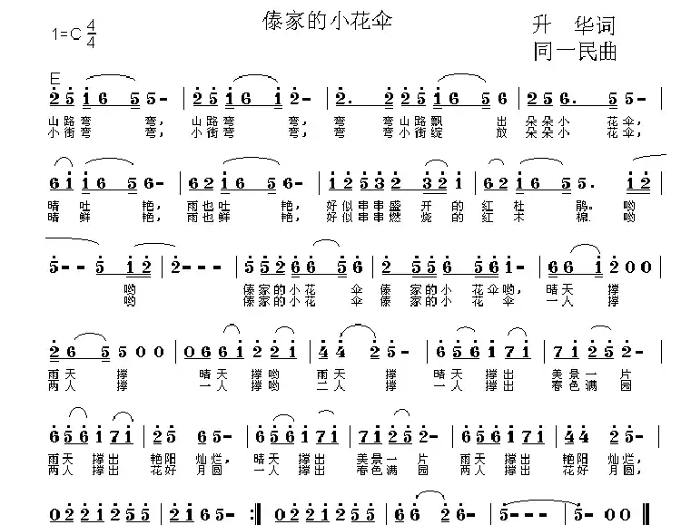 傣家的小花伞