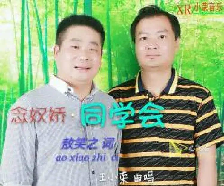 念奴娇·同学会