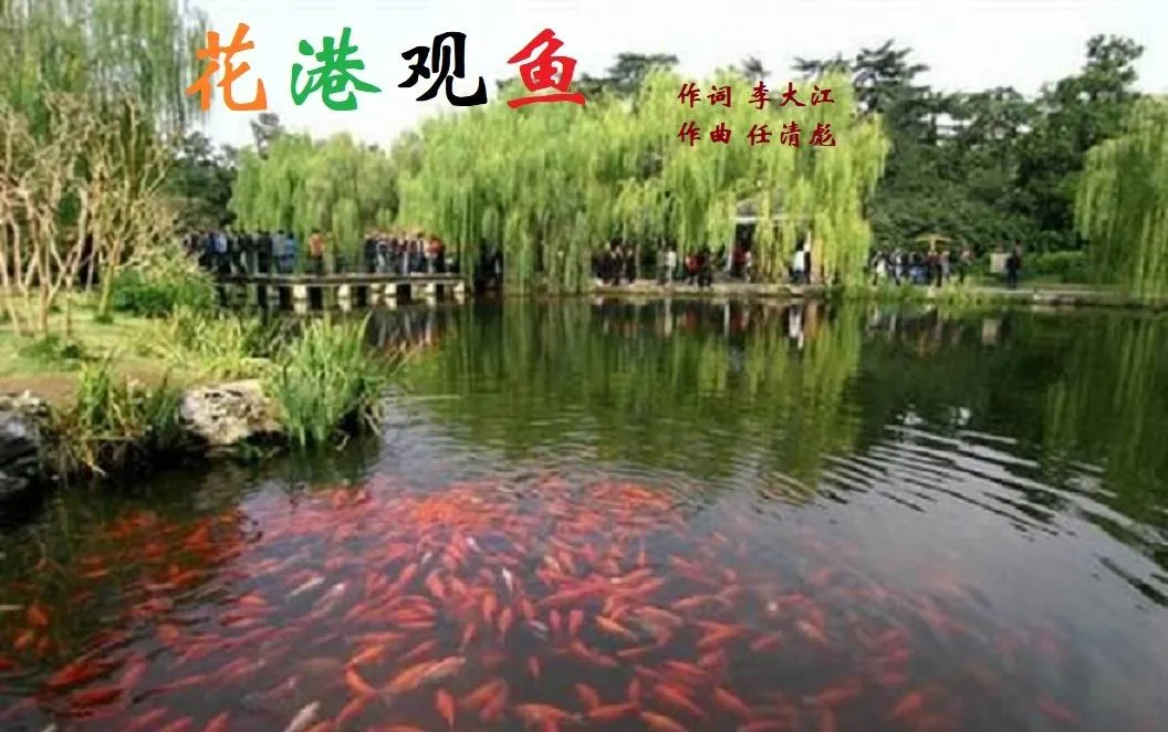 花港观鱼