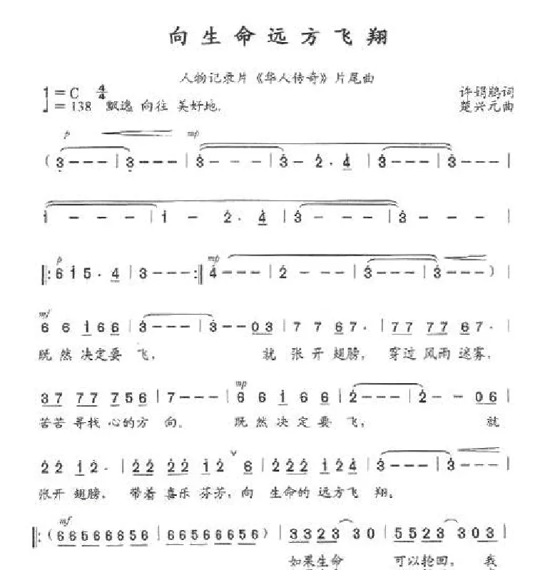 向生命远方飞翔（任务记录片《华人传奇》片尾曲）
