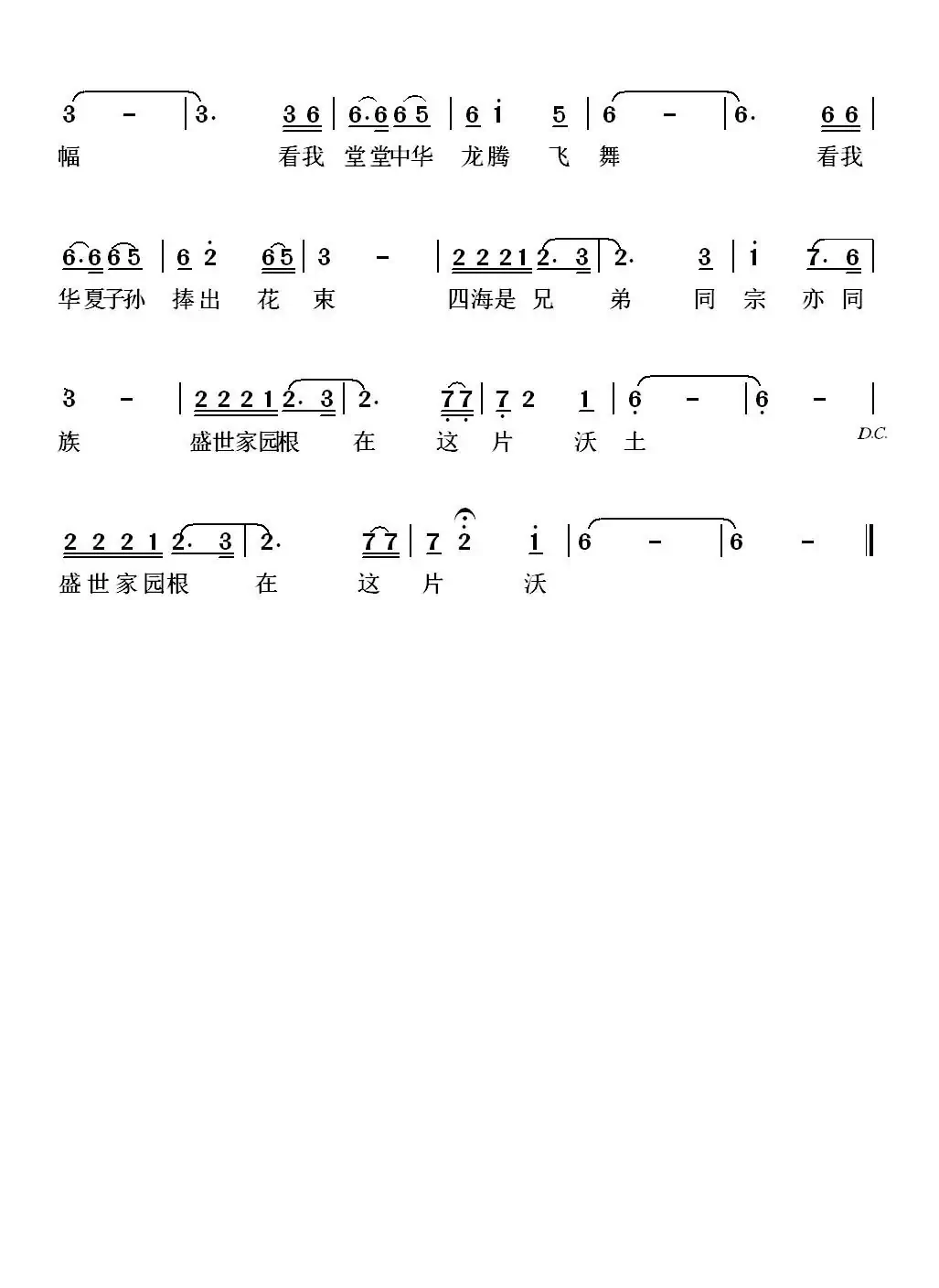 龙飞舞