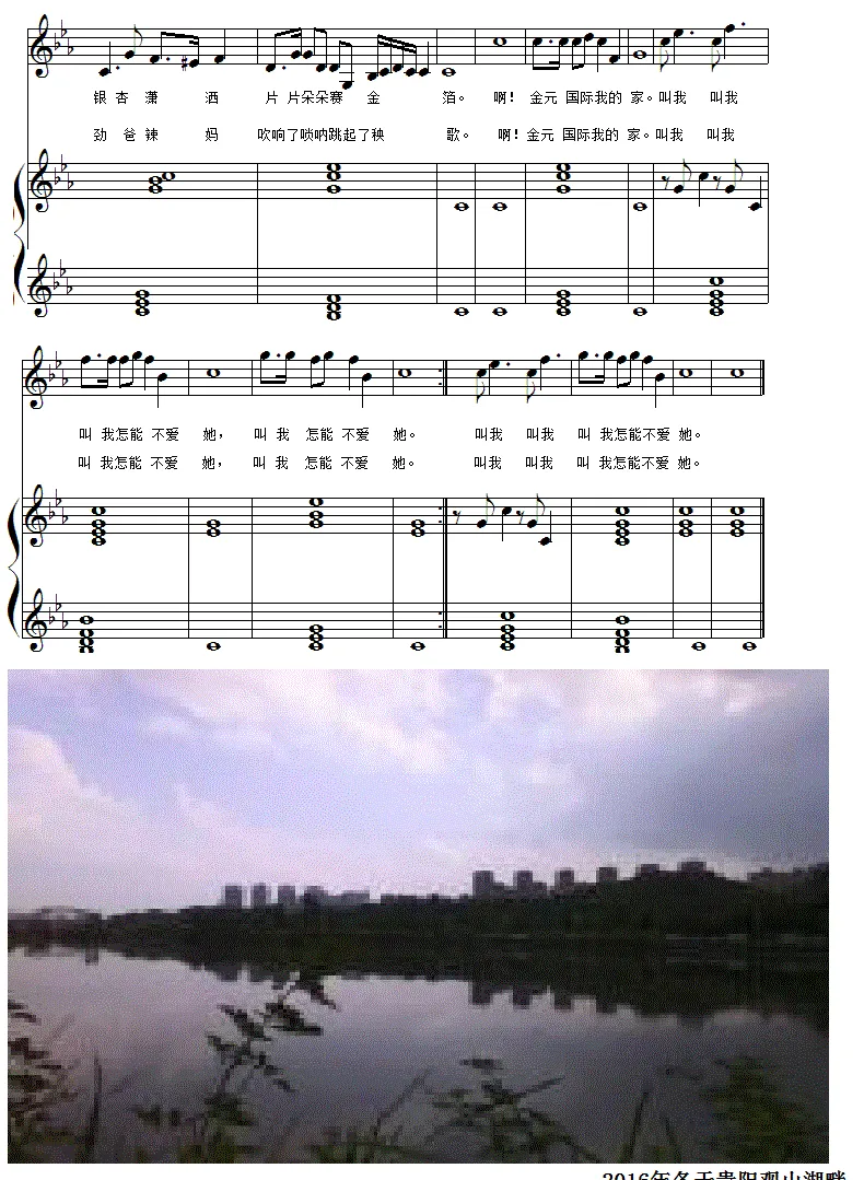 叫我怎能不爱她（钢琴伴奏版）