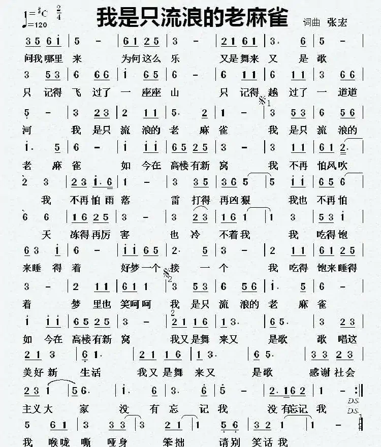 我是只流浪的老麻雀