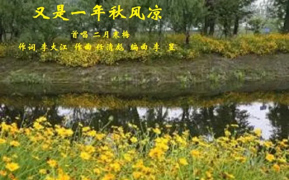 又是一年秋风凉