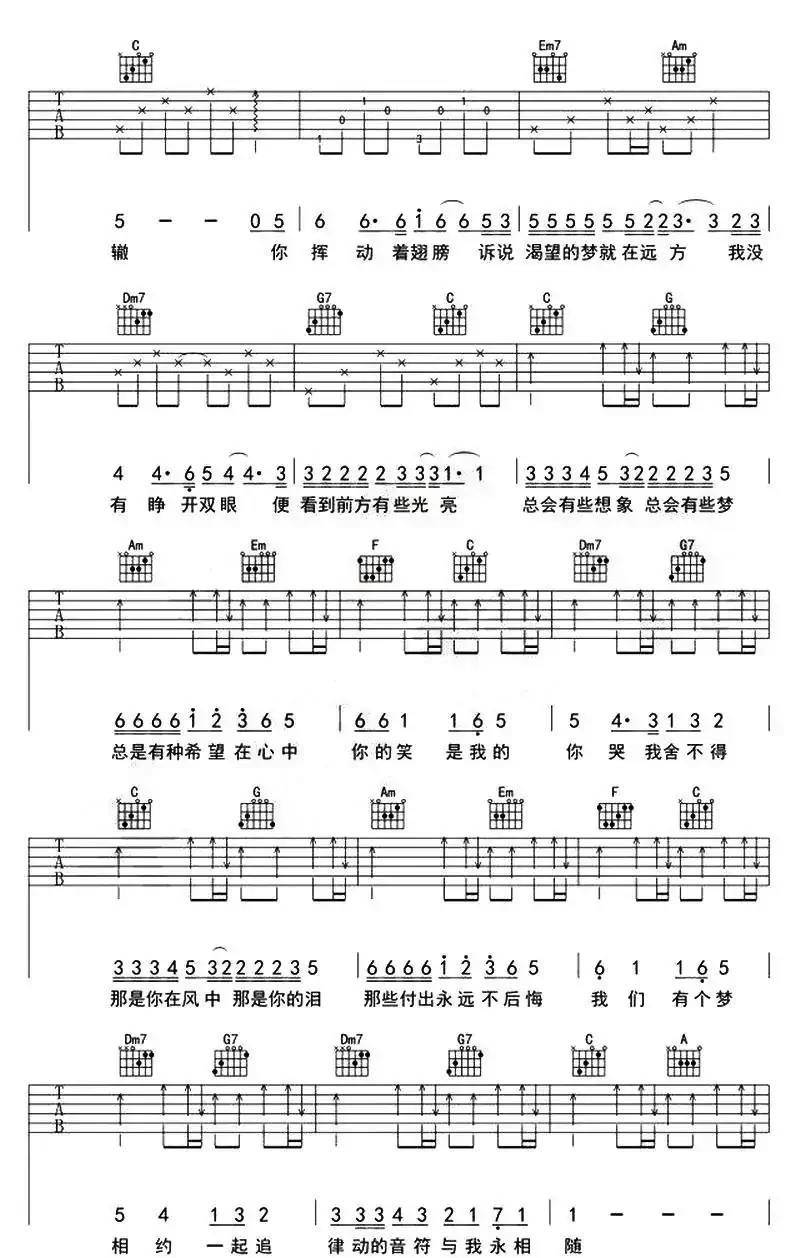 青鸟（岳振国 词曲）