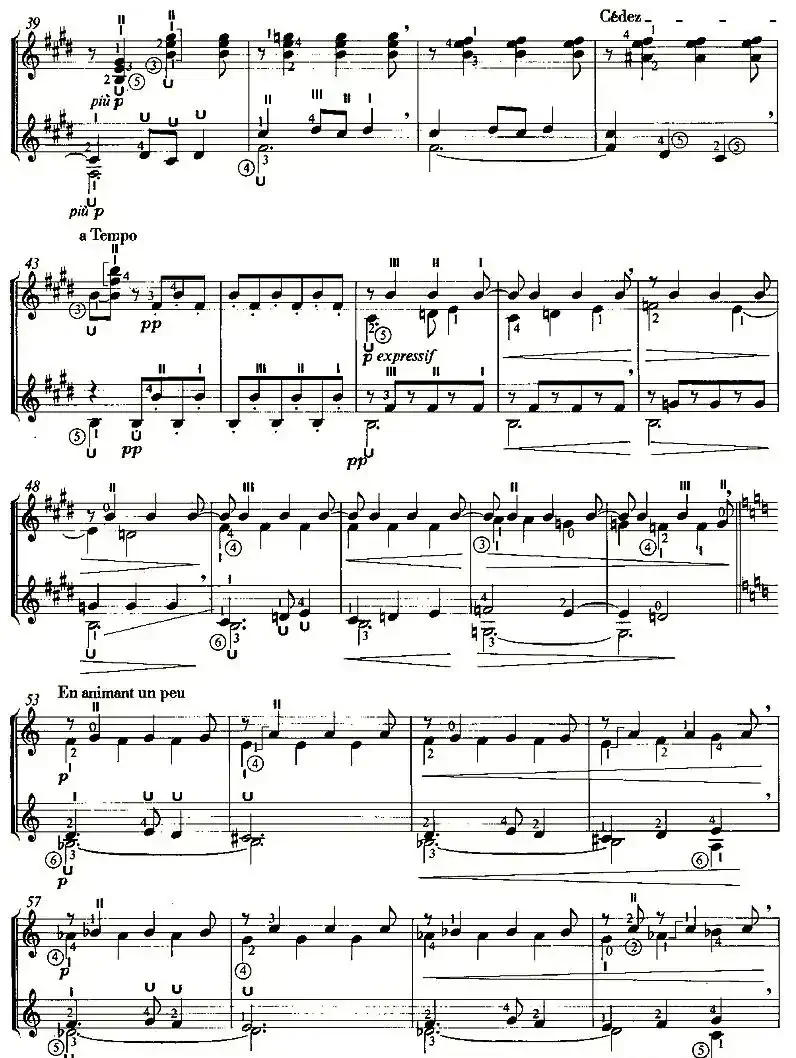 SERENADE OF THE DOLL（双吉他）