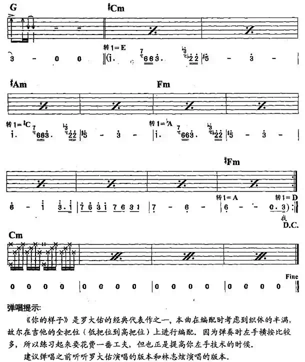 你的样子（李钢编配版）