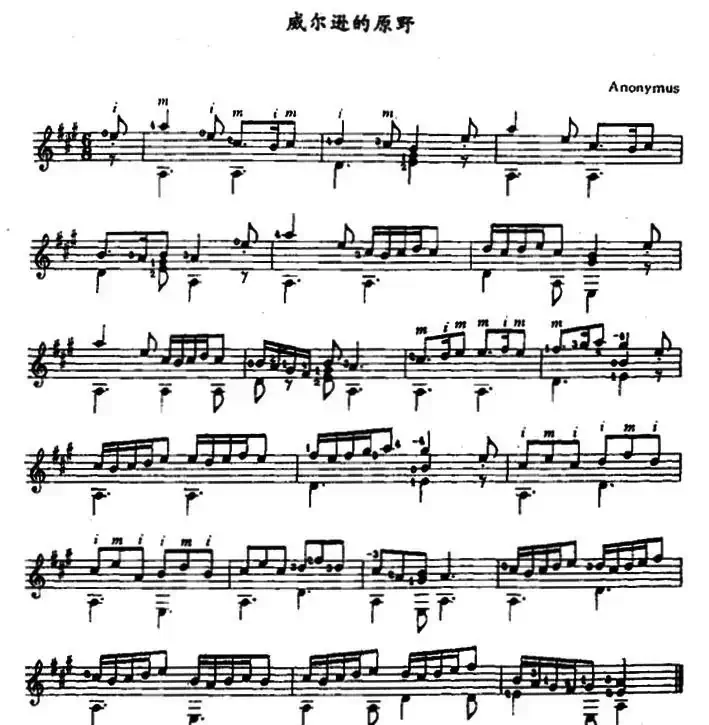 威尔逊的原野（古典吉他）
