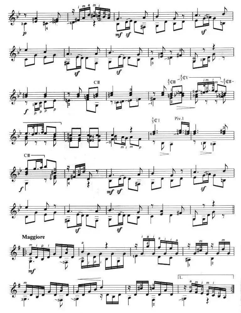 古典吉他考级七级外国乐曲C组（1、夏天的最后一朵玫瑰）