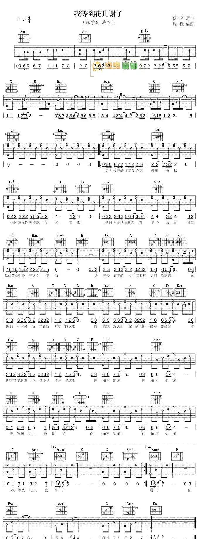 我等到花儿也谢了