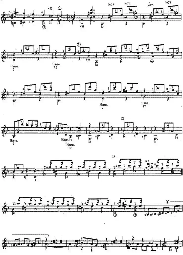 Capricho Espanol（古典吉他）
