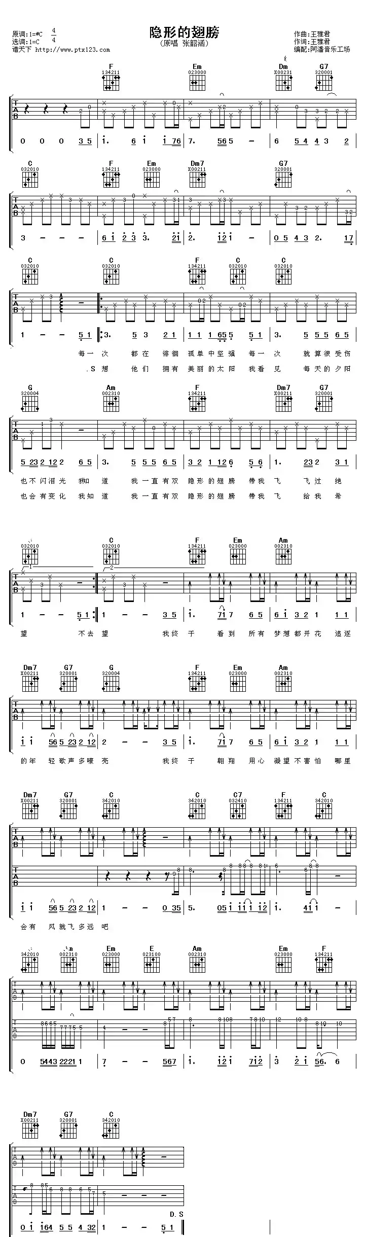 隐形的翅膀(阿潘编配版)