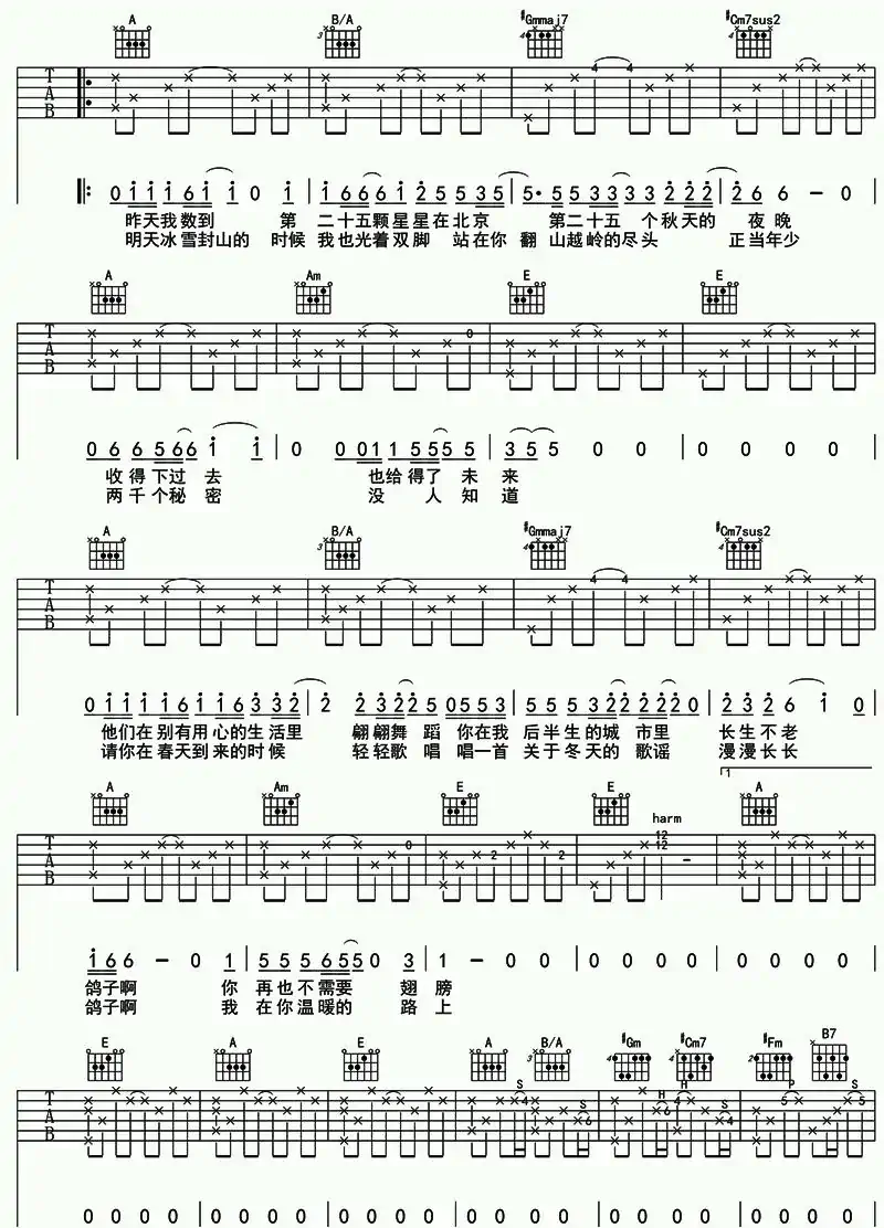 鸽子（宋冬野 词曲）
