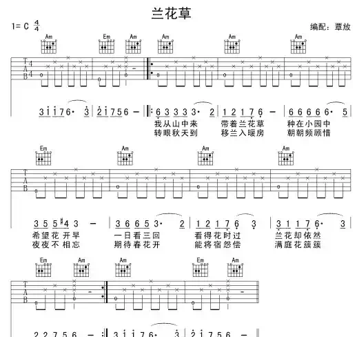 兰花草（7个版本）