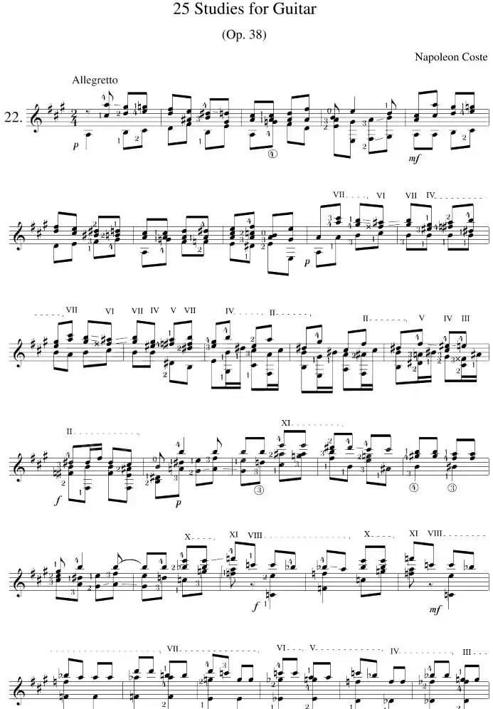 Napoleon Coste《25 Studies,Op.38》（STUDY 22）