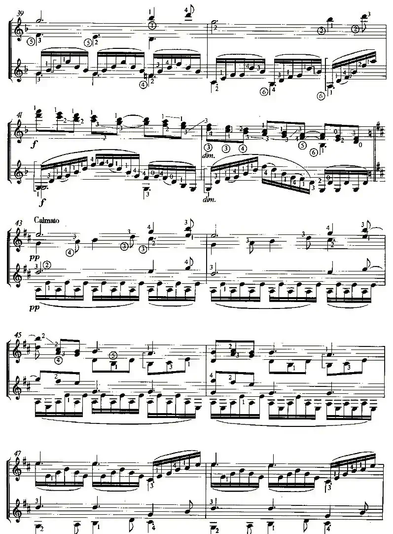 CLAIR DE LUNE（双吉他）