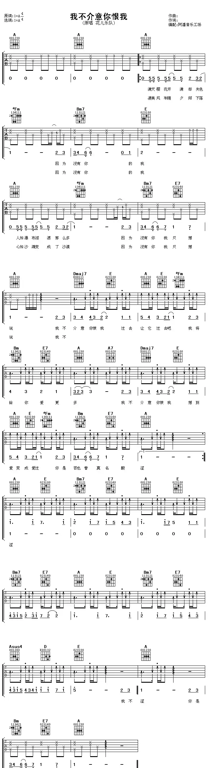 我不介意你恨我(阿潘编配版)