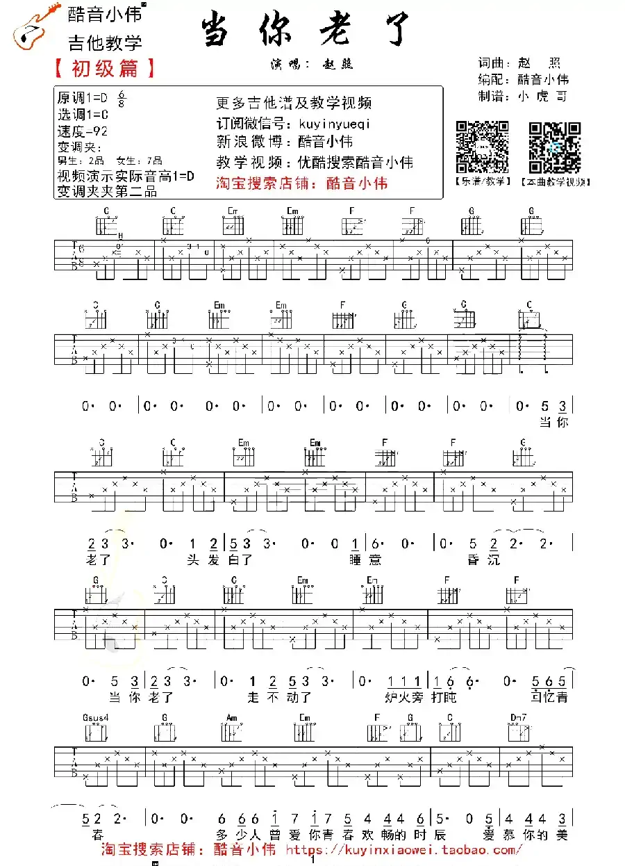 当你老了（赵照词曲、酷音小伟编配版）