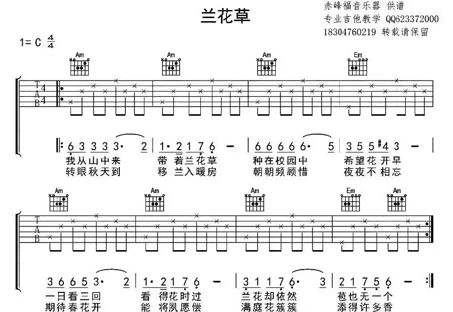 兰花草（7个版本）
