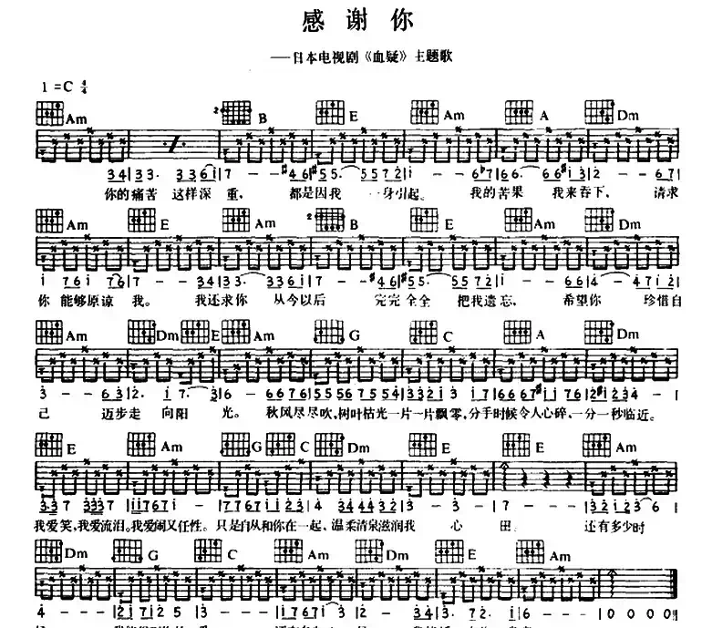 感谢你（日本电视剧《血疑》主题曲）