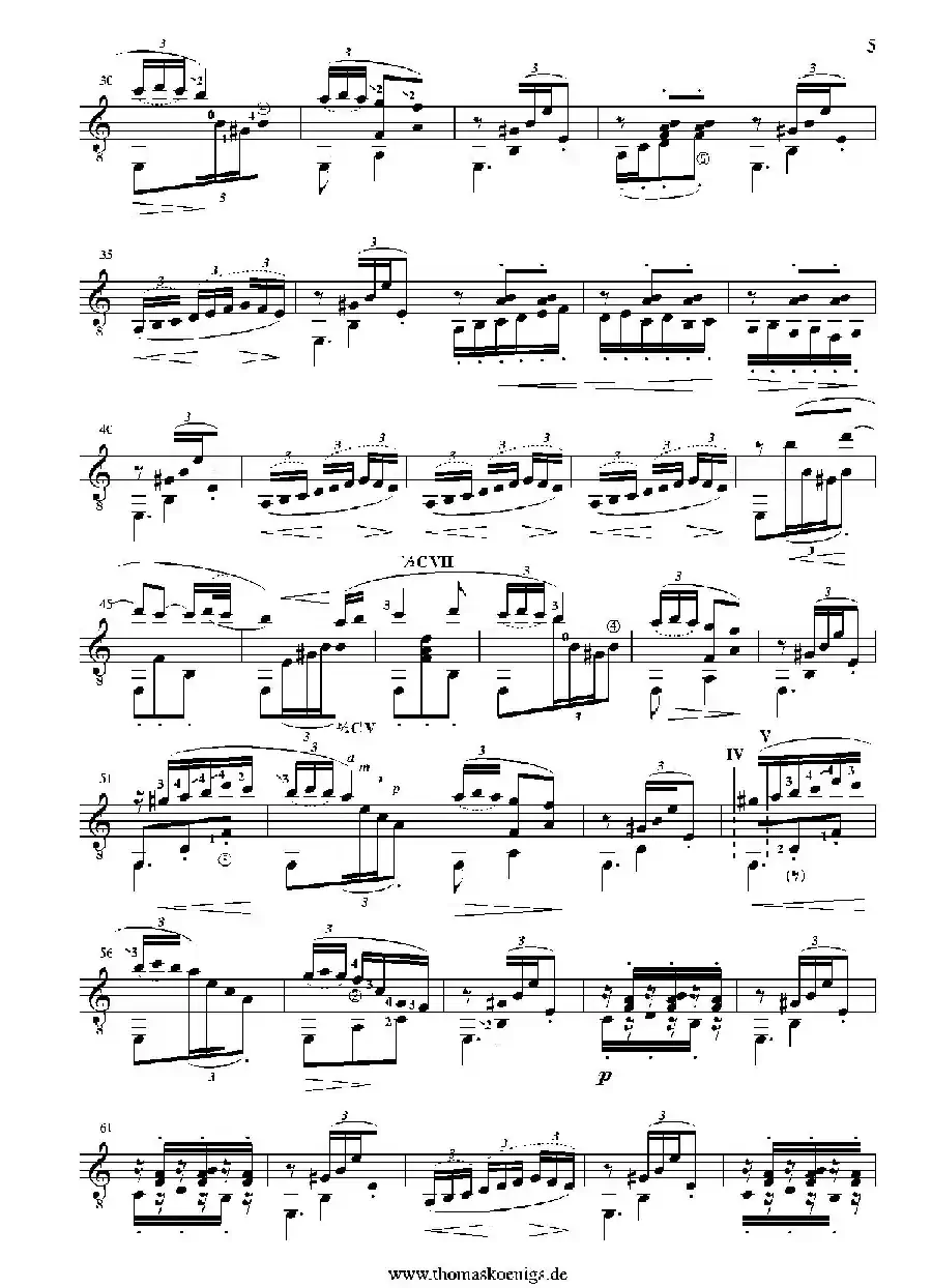 Rumores De La Caleta(No.6 aus 'Recuerdos de Viaje'op.71)（古典吉他）