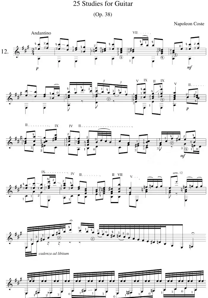Napoleon Coste《25 Studies,Op.38》（STUDY 12）