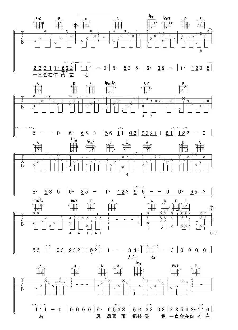 阳光总在风雨后